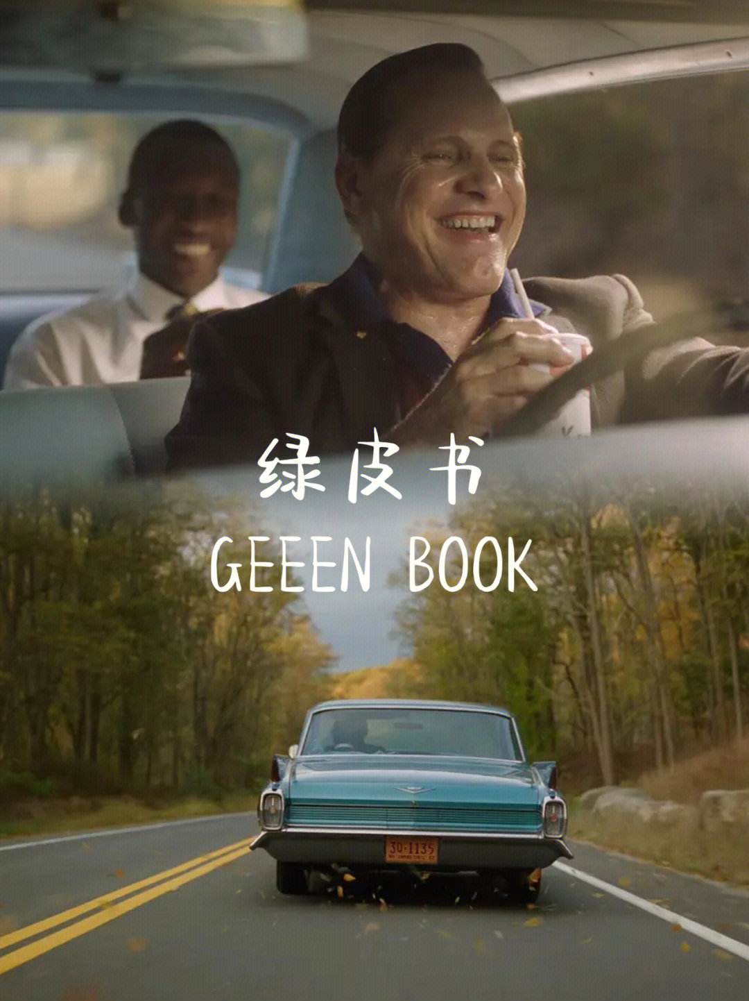 绿皮书电影(绿皮书电影百度网盘)