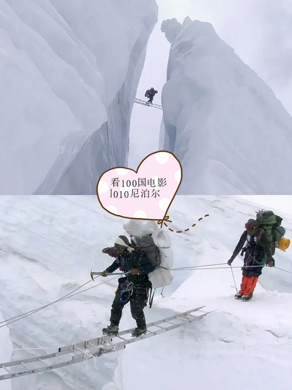 清道夫电影(清道夫电影在线观看)
