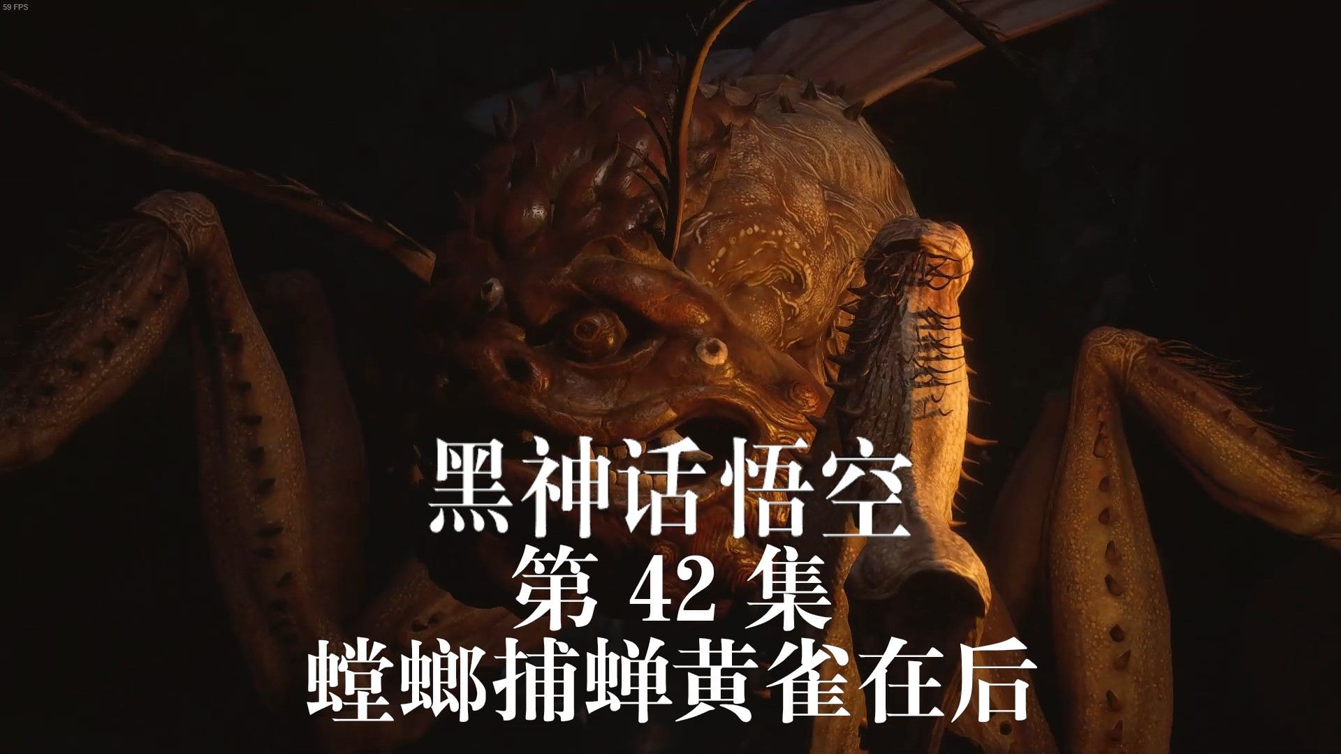 螳螂电影(螳螂电影结局)