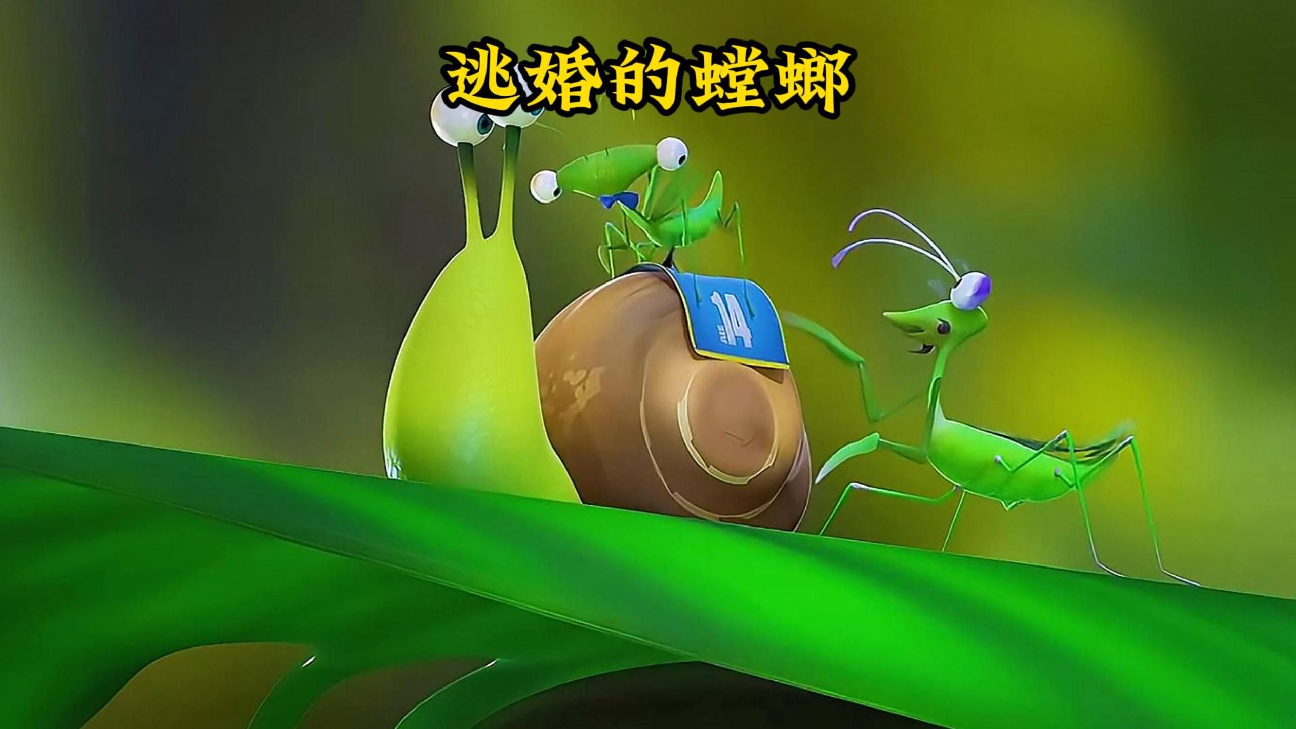 螳螂电影(螳螂电影结局)