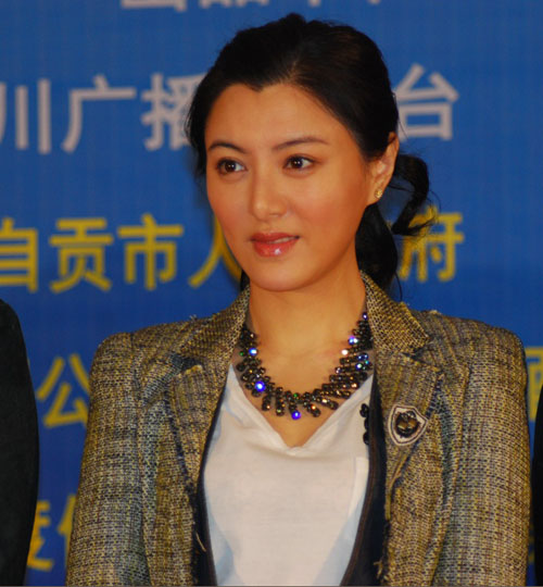 电视剧十指连心(电视剧十指连心大结局)