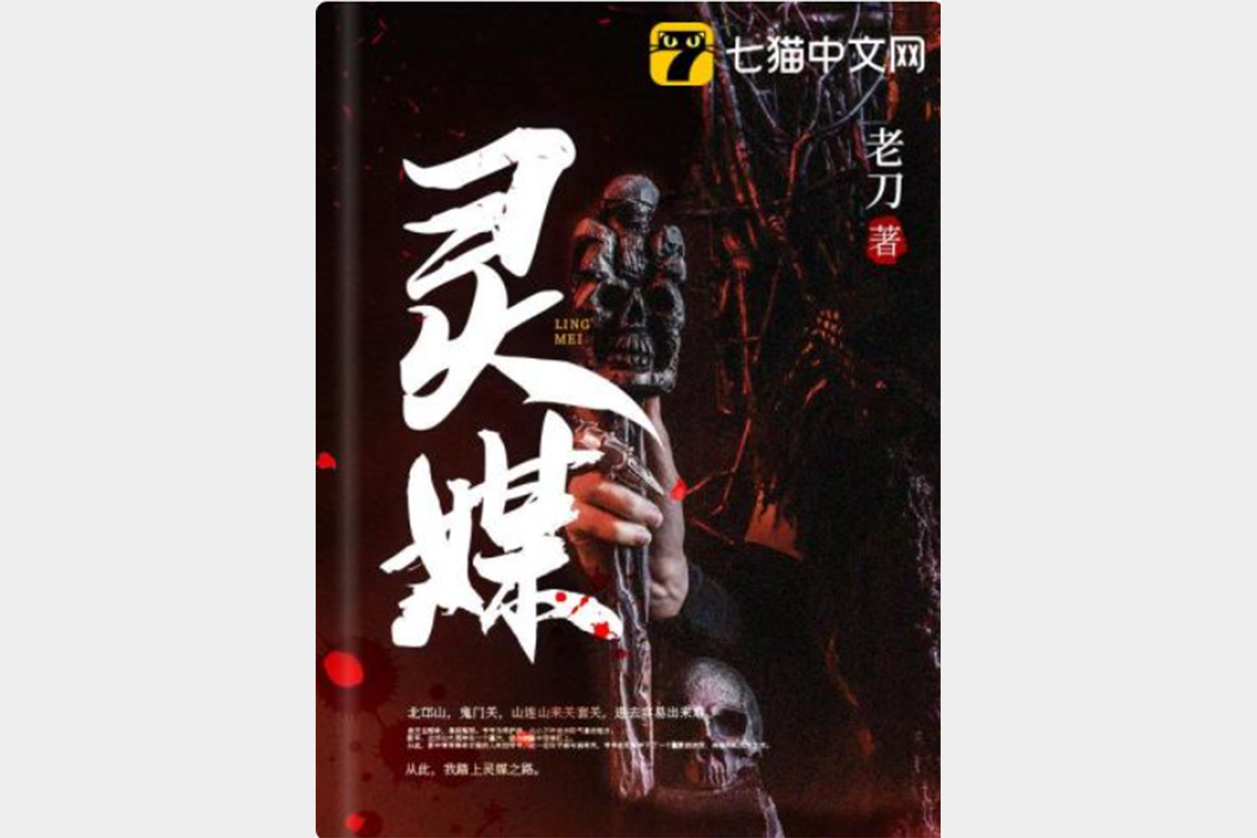灵媒2021在线播放(灵媒 1080p 下载 在线播放)