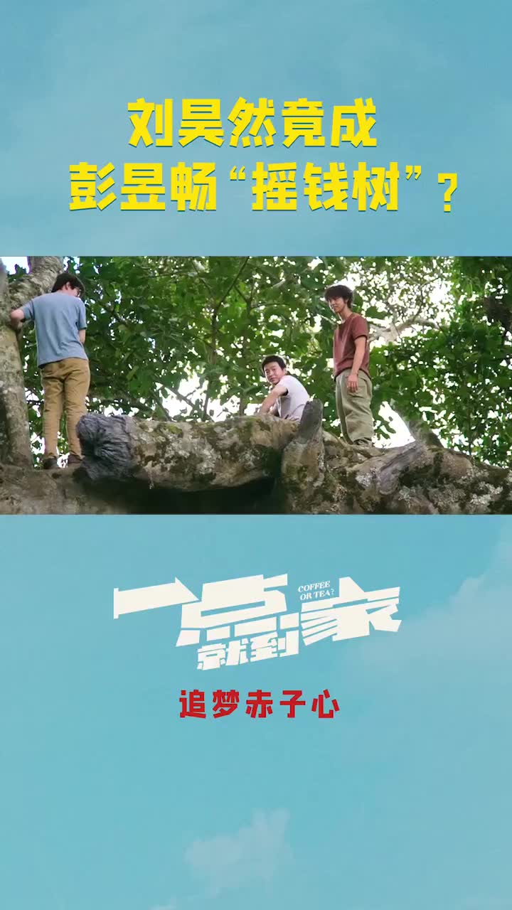 一点就到家在线观看(cctv官网在线观看)