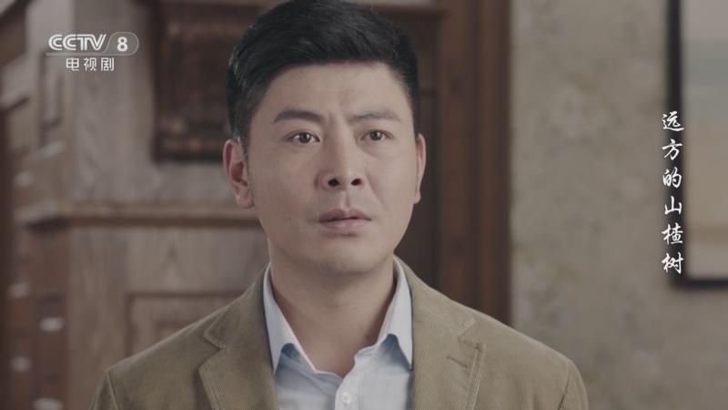 远方的山楂树电视剧免费观看(远方的山楂树电视剧免费观看投屏)