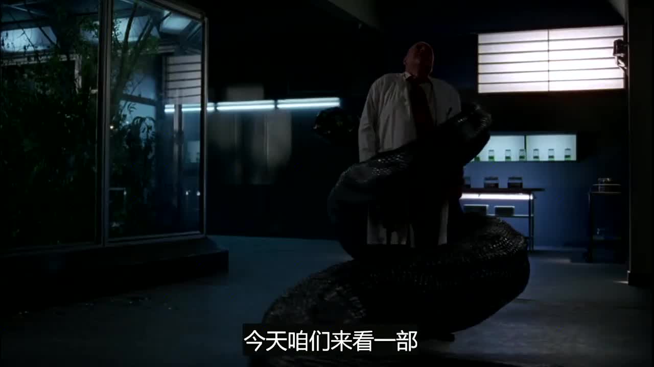 变异巨蟒电影免费播放(变异巨蟒电影免费播放在线观看)