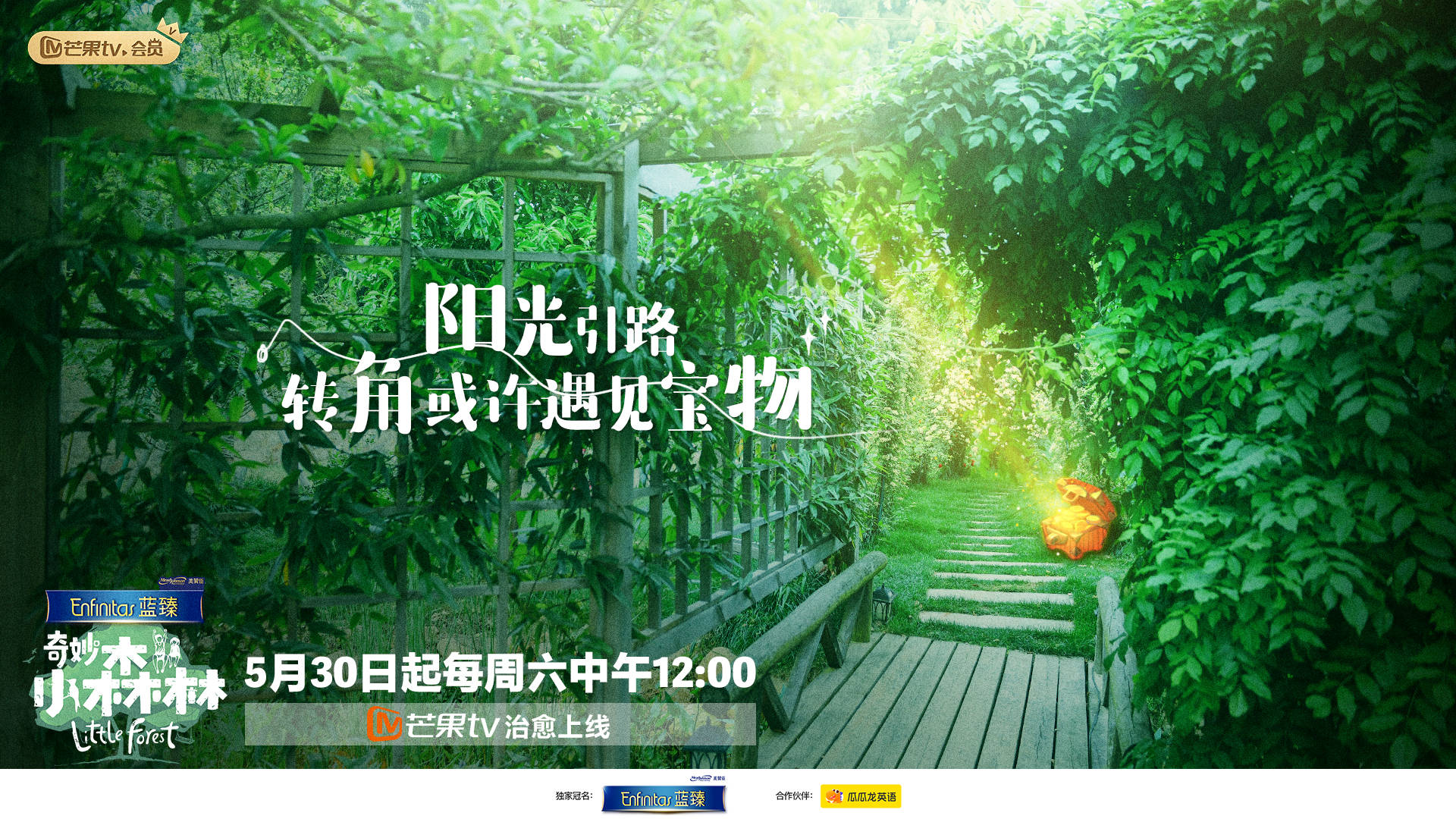 奇妙小森林(奇妙小森林为什么看不了)