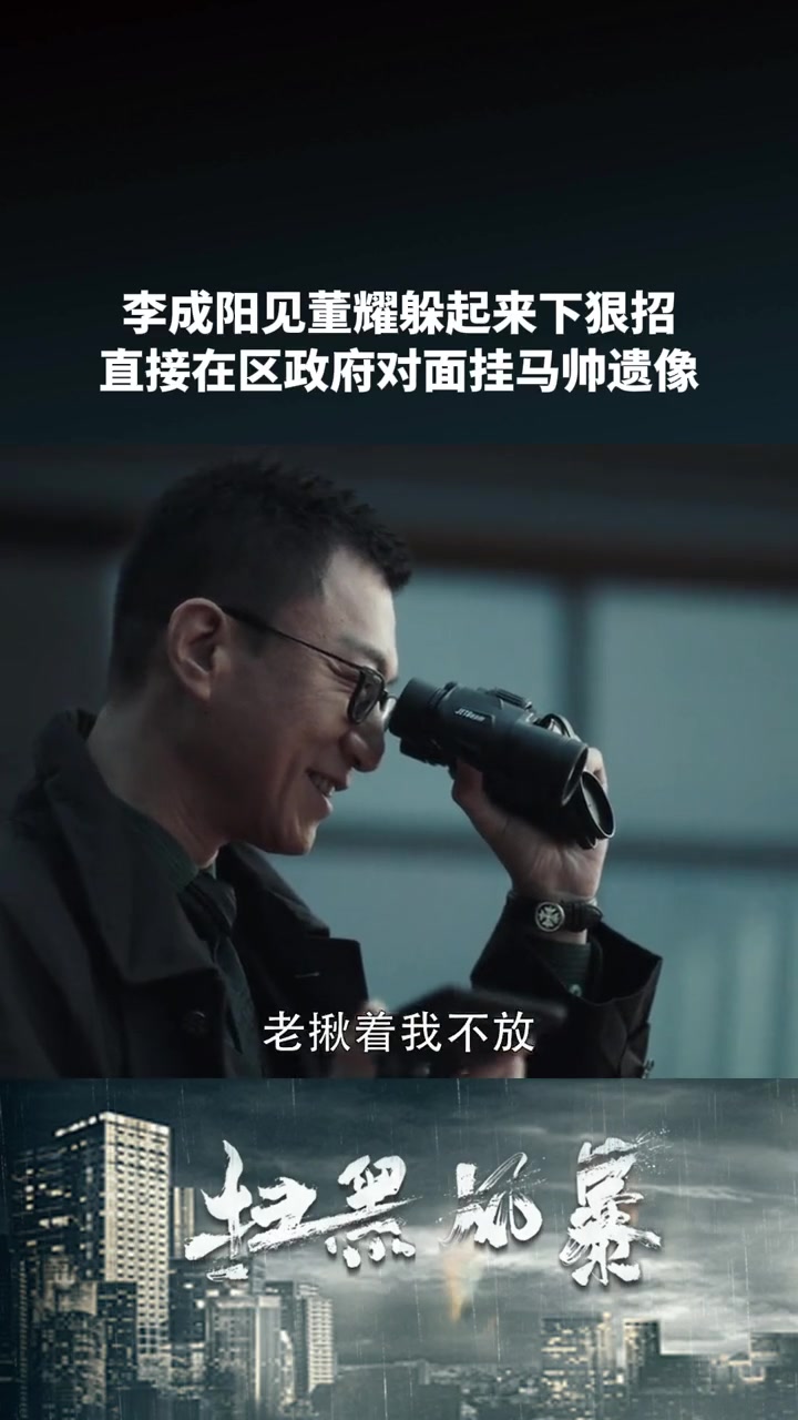 扫黑风暴在线观看完整(扫黑风暴,在线观看免费)