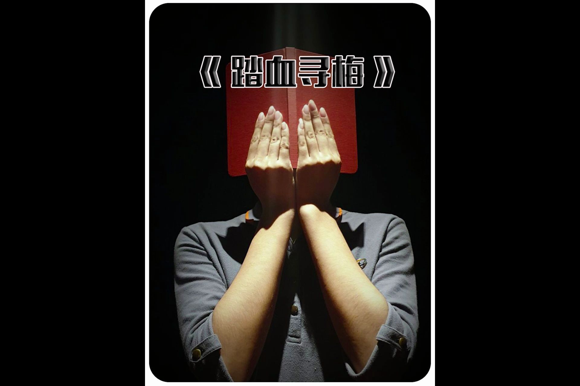 踏血寻梅电影下载(踏血寻梅电影百度网盘)