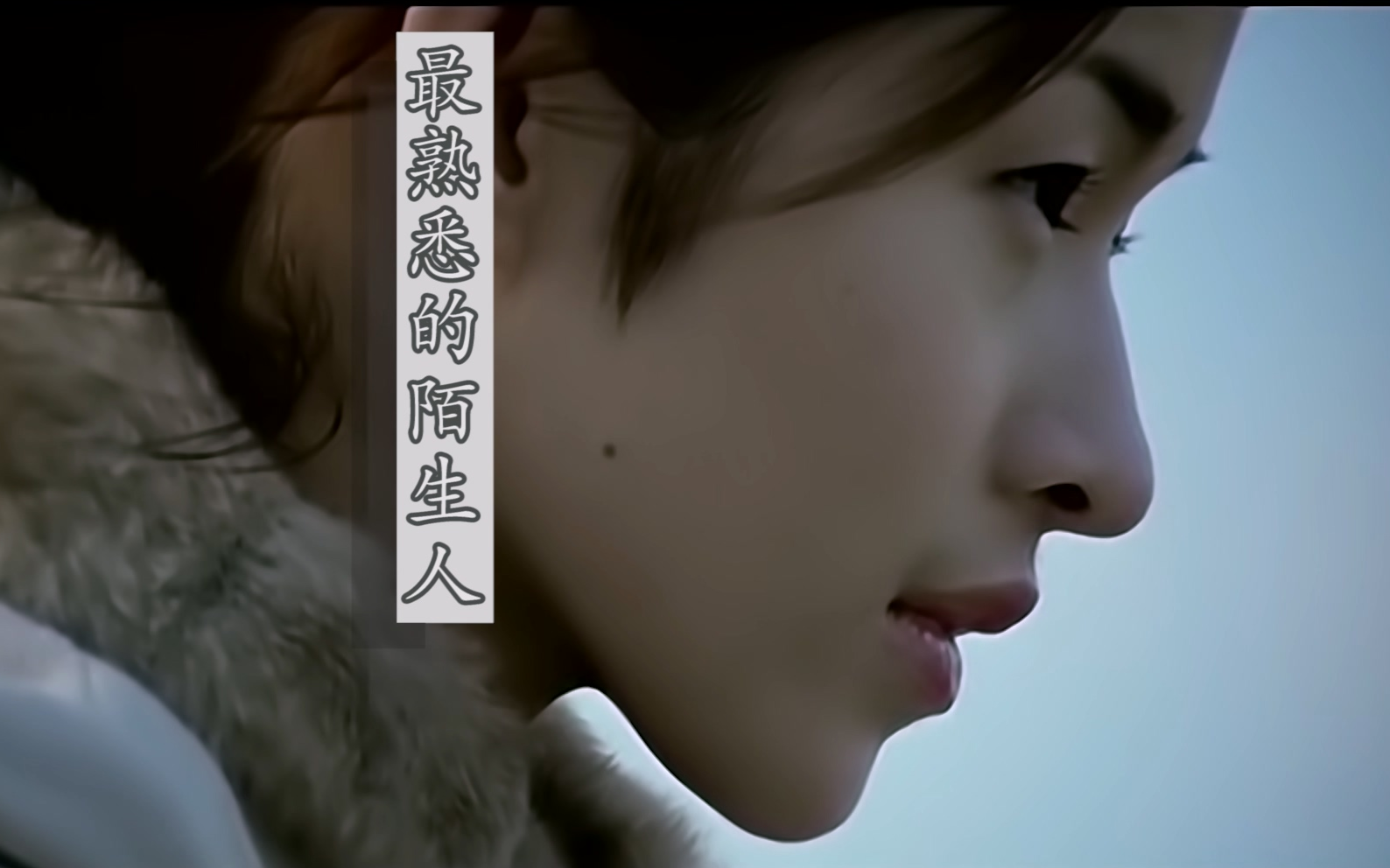 最熟悉的陌生人电视剧(最熟悉的陌生人电视剧插曲叫什么)
