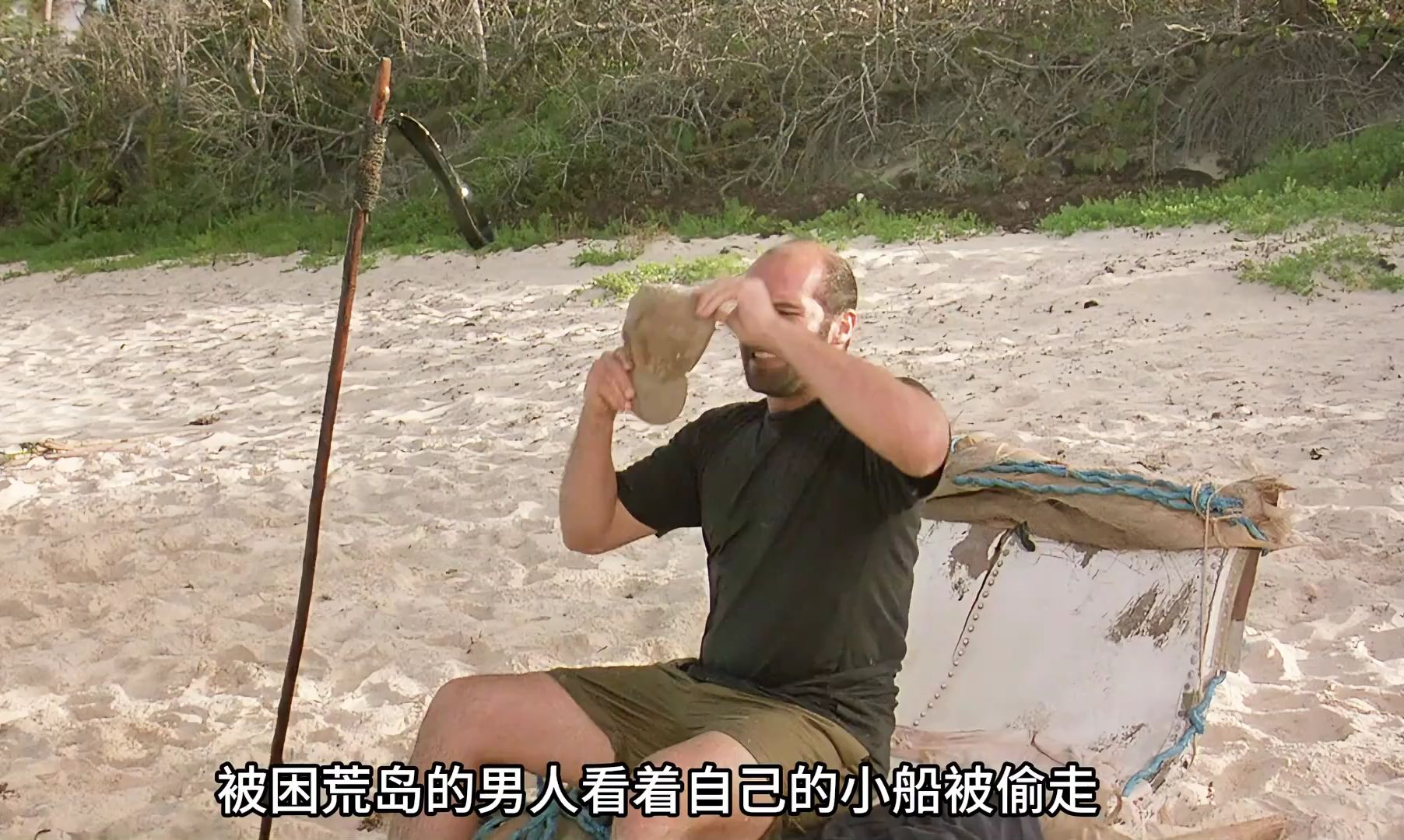 荒岛惊魂(荒岛惊魂3)