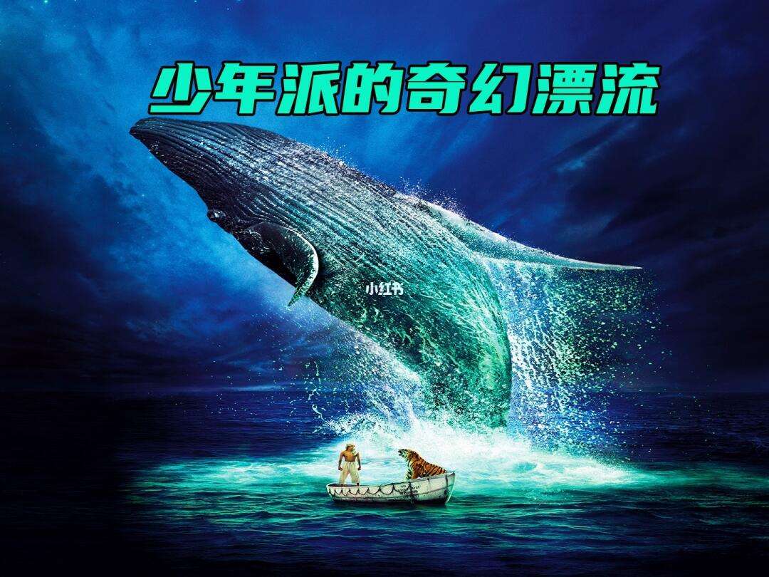 少年派的奇幻漂流bd(少年派的奇幻漂流BD国语中字)