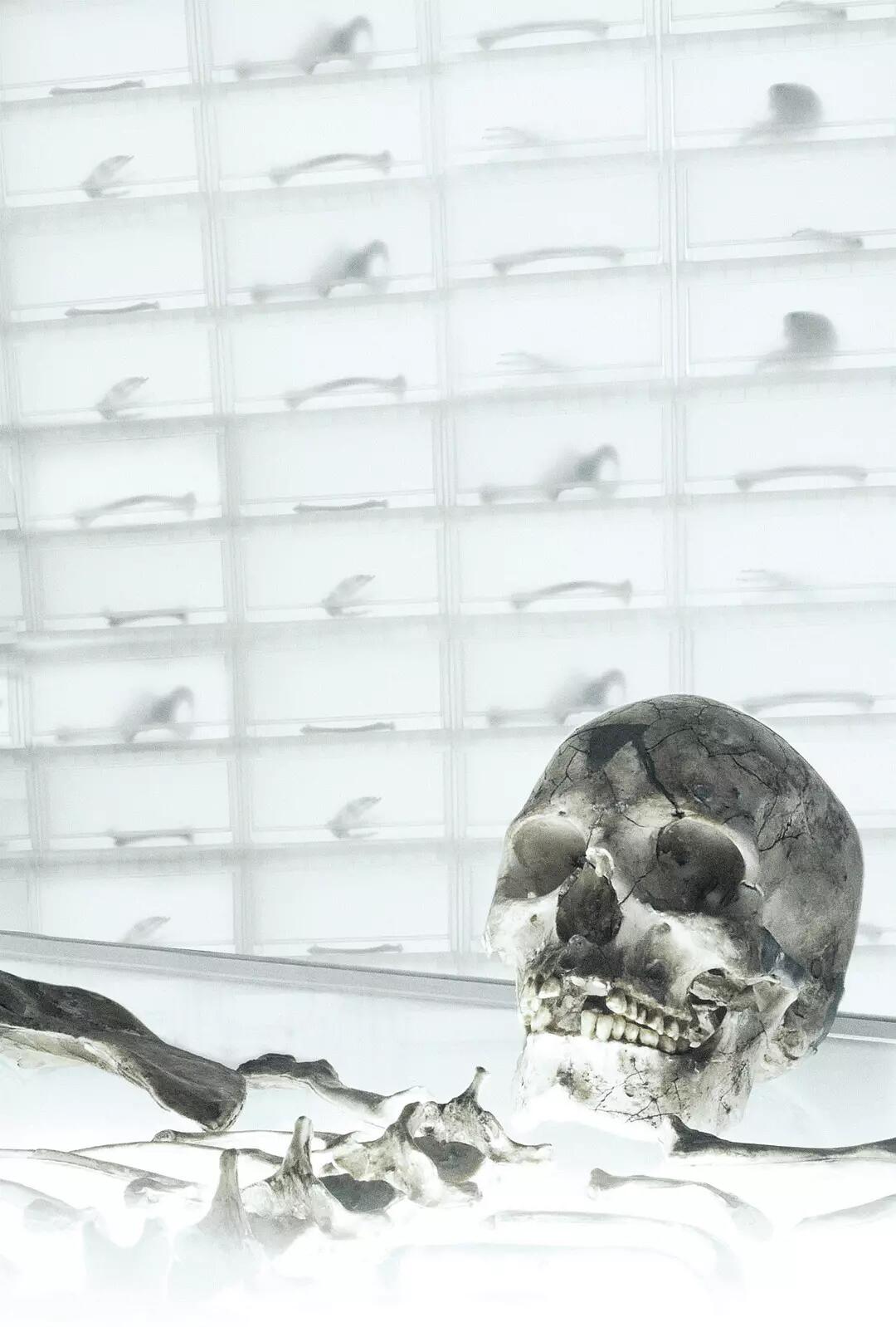 bones第一季(bones season1)