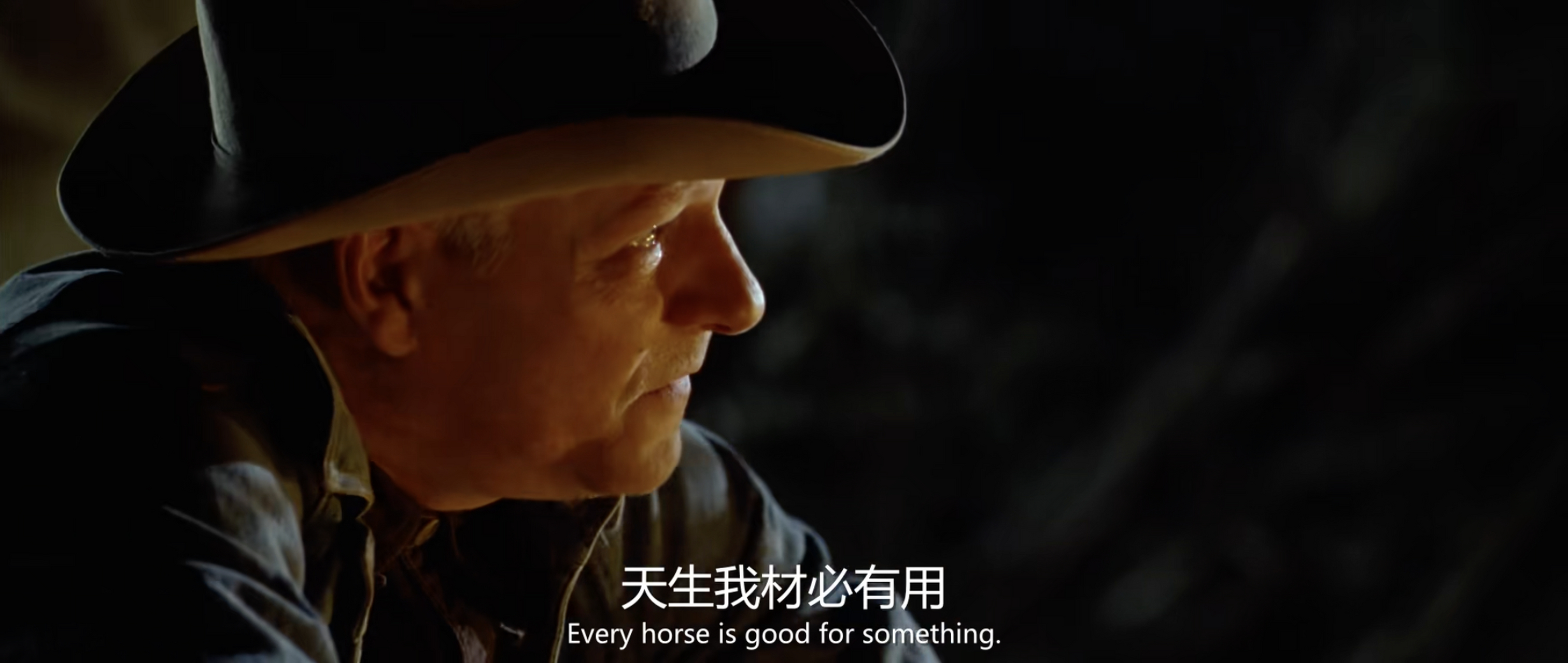 奔腾年代电影(奔腾年代电影在线观看)