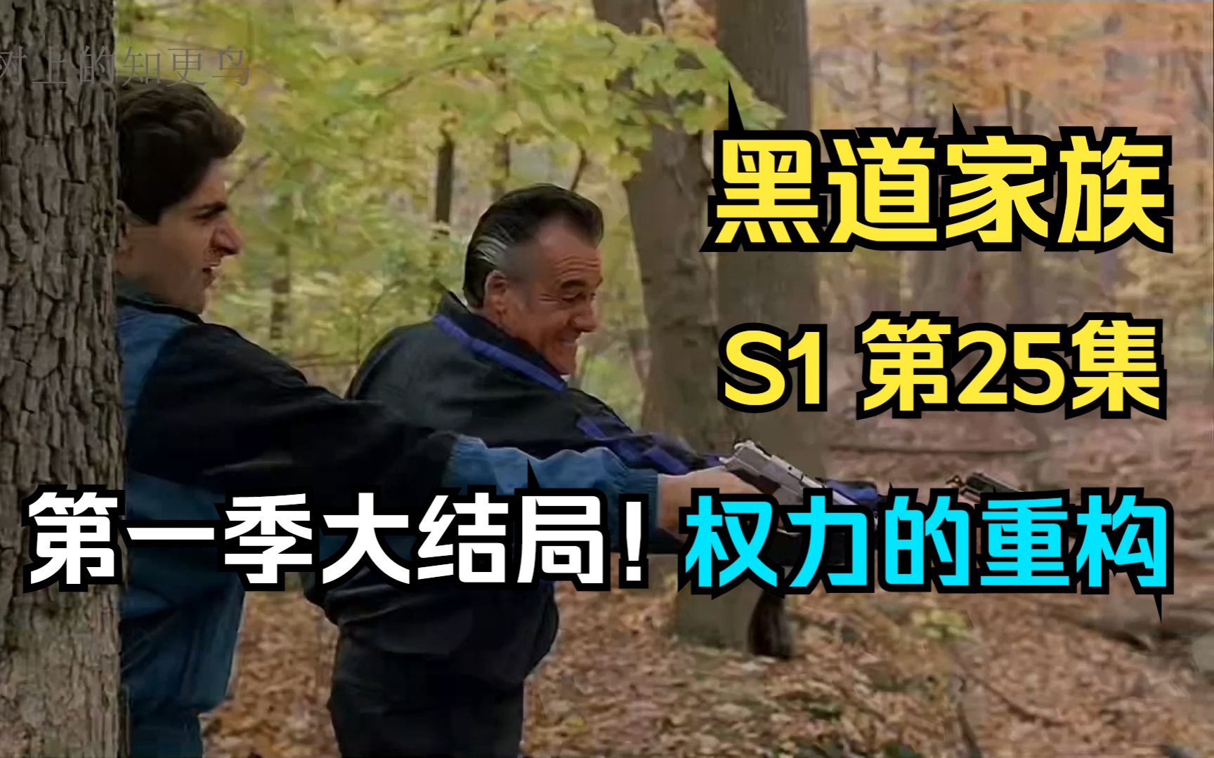 黑道家族第一季(黑道家族第一季完整版)