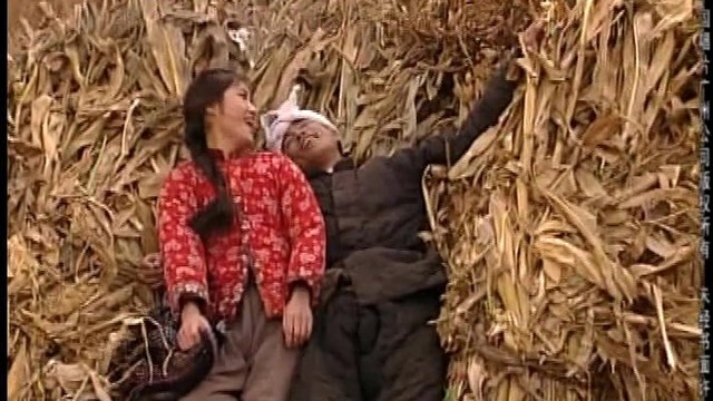 三十里铺电视剧(三十里铺电视剧土匪打劫富翁)
