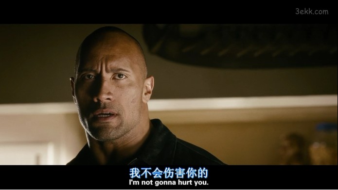 极速复仇电影(极速复仇电影下载)