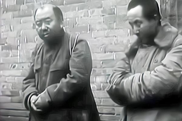 谢文东电视剧(谢文东电视剧一共几部)