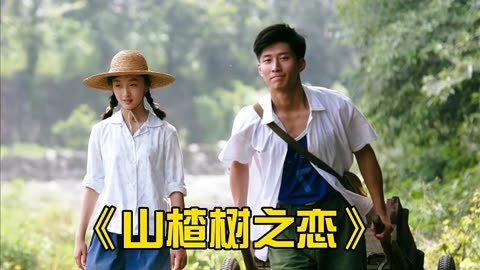 山楂树之恋电影(山楂树之恋电影剧情简介)