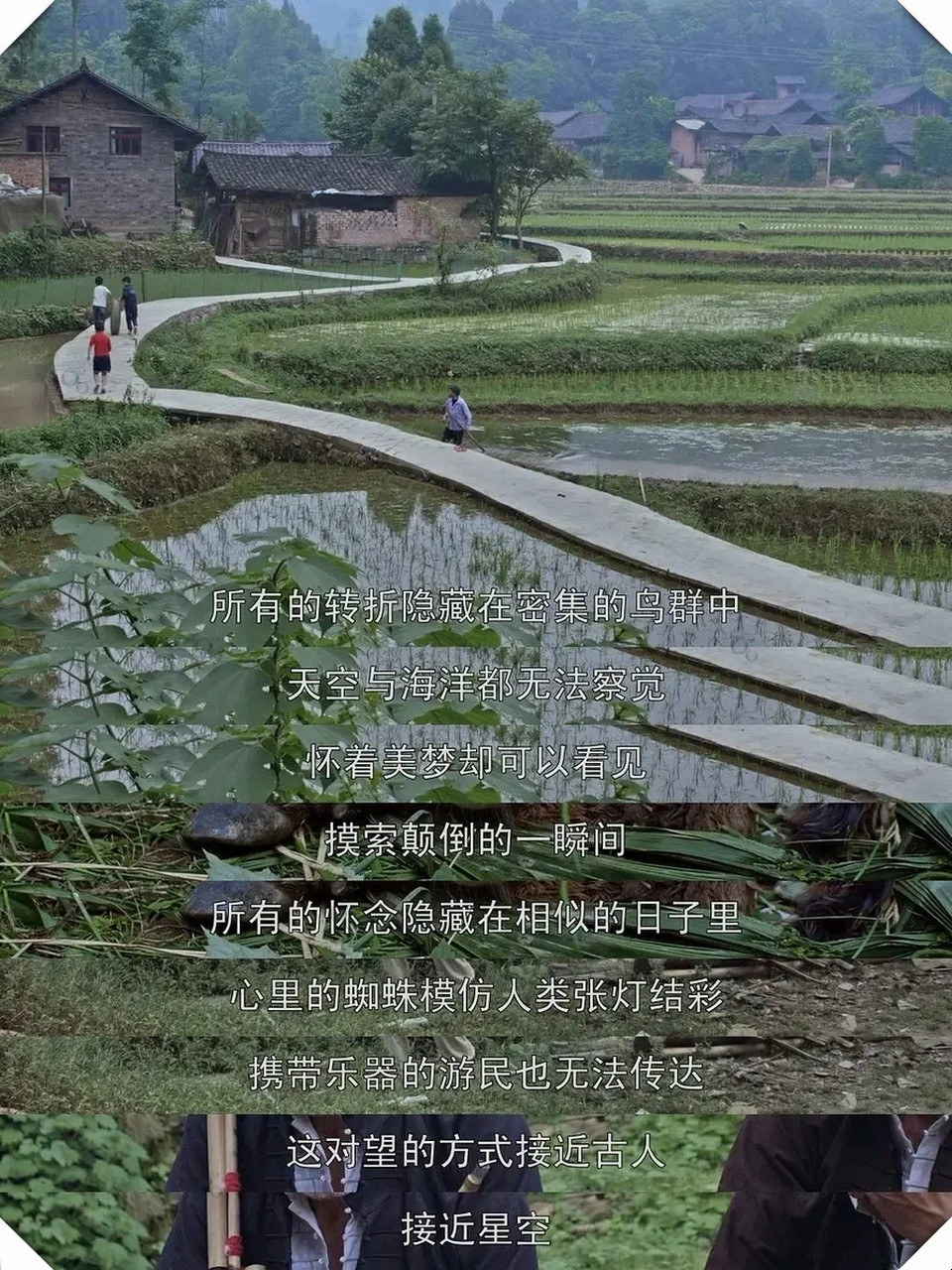 郊游电影(郊游电影到底讲什么)