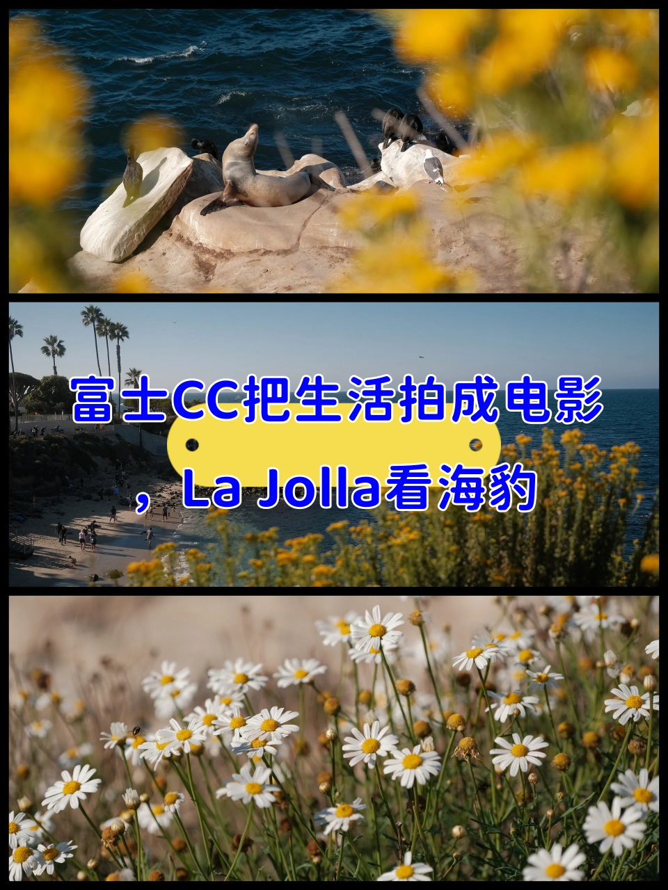 海滩电影(张国荣上海滩电影)