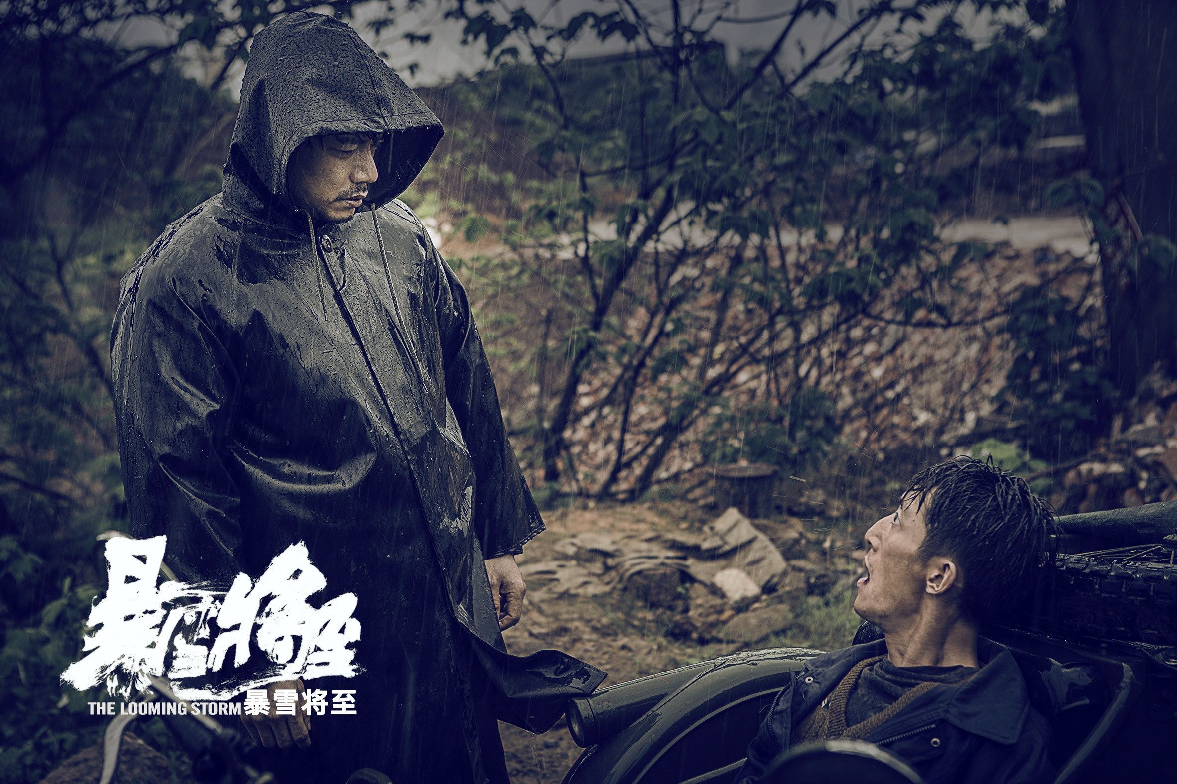 暴雪将至电影(暴雪将至电影真相解析)