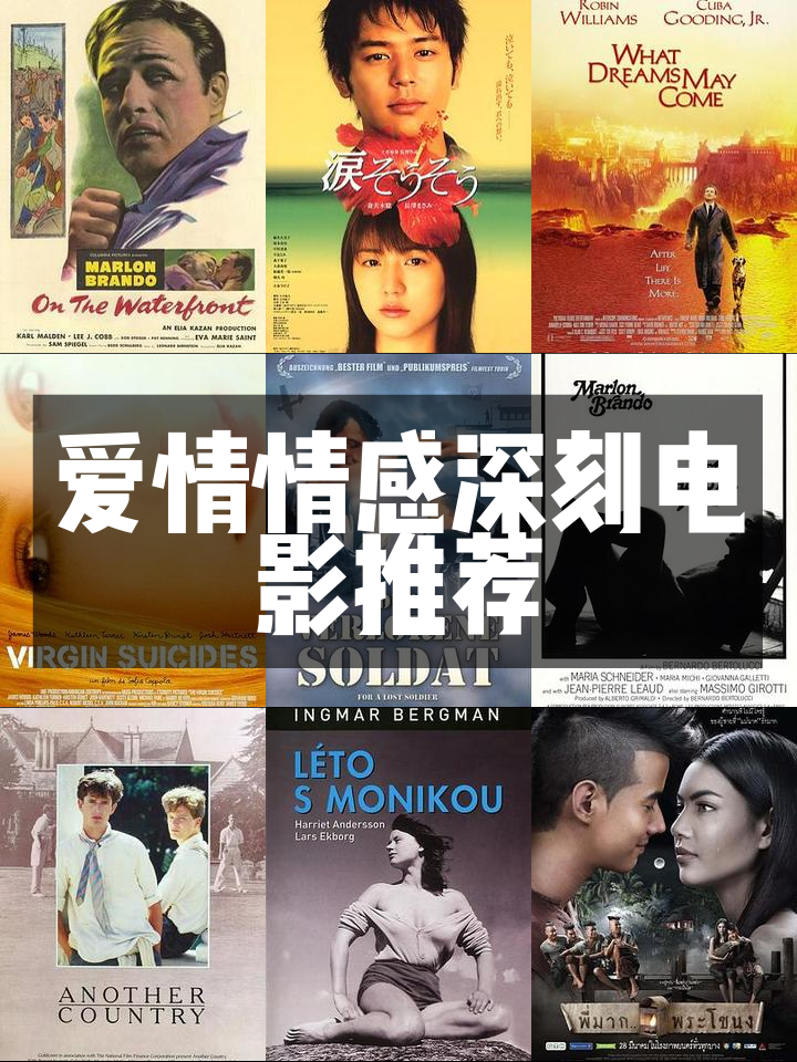 深情触摸电影(深情触摸电影百科)