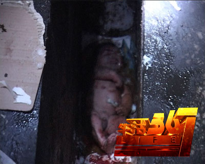 下水道美人鱼电影(下水道美人鱼电影观看全集)