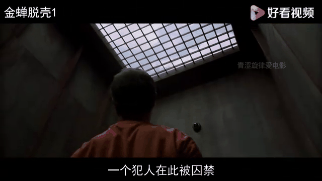 金蝉脱壳电影天堂(金蝉脱壳电影天堂免费观看)