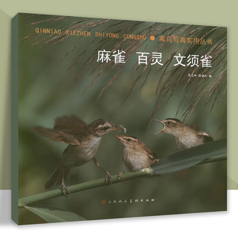 麻雀全集(麻雀 全集)