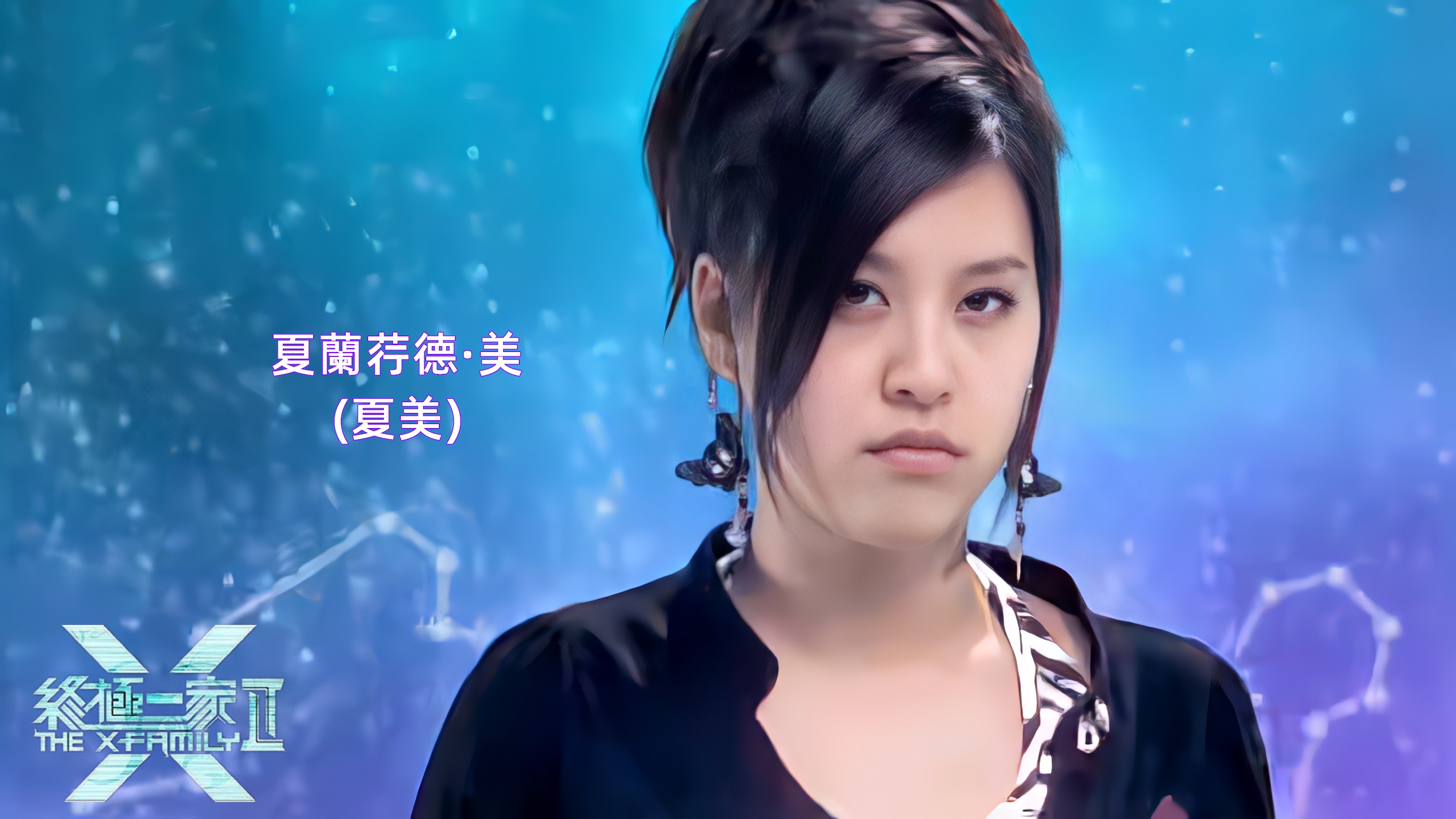 终极一家在线观看(终极一家在线观看免费港台剧)