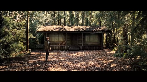 林中小屋电影(林中小屋电影解说)