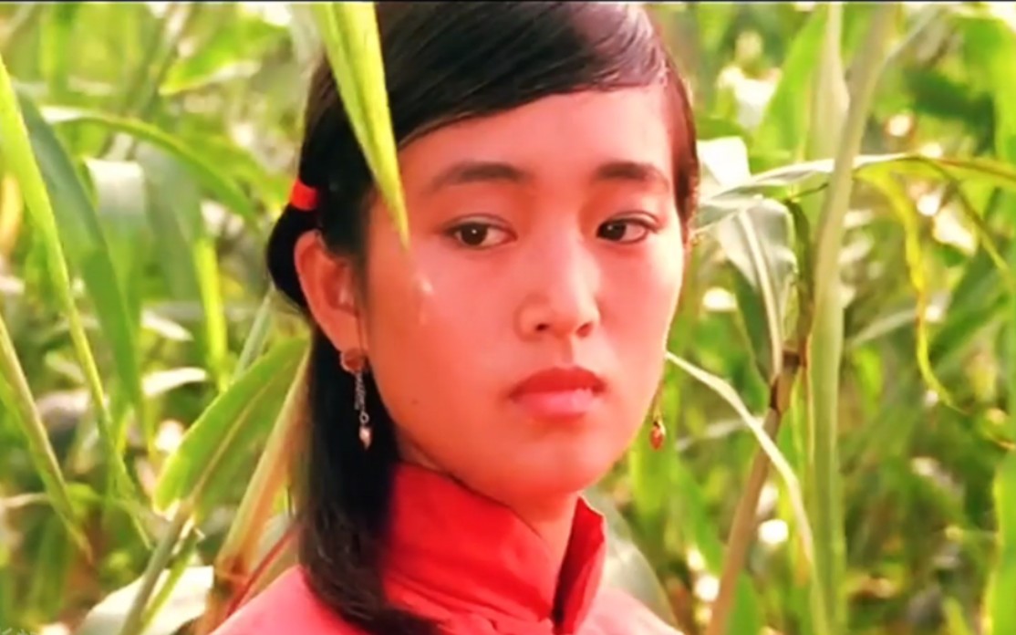 电影红高粱在线观看(电影红高粱在线观看国语)
