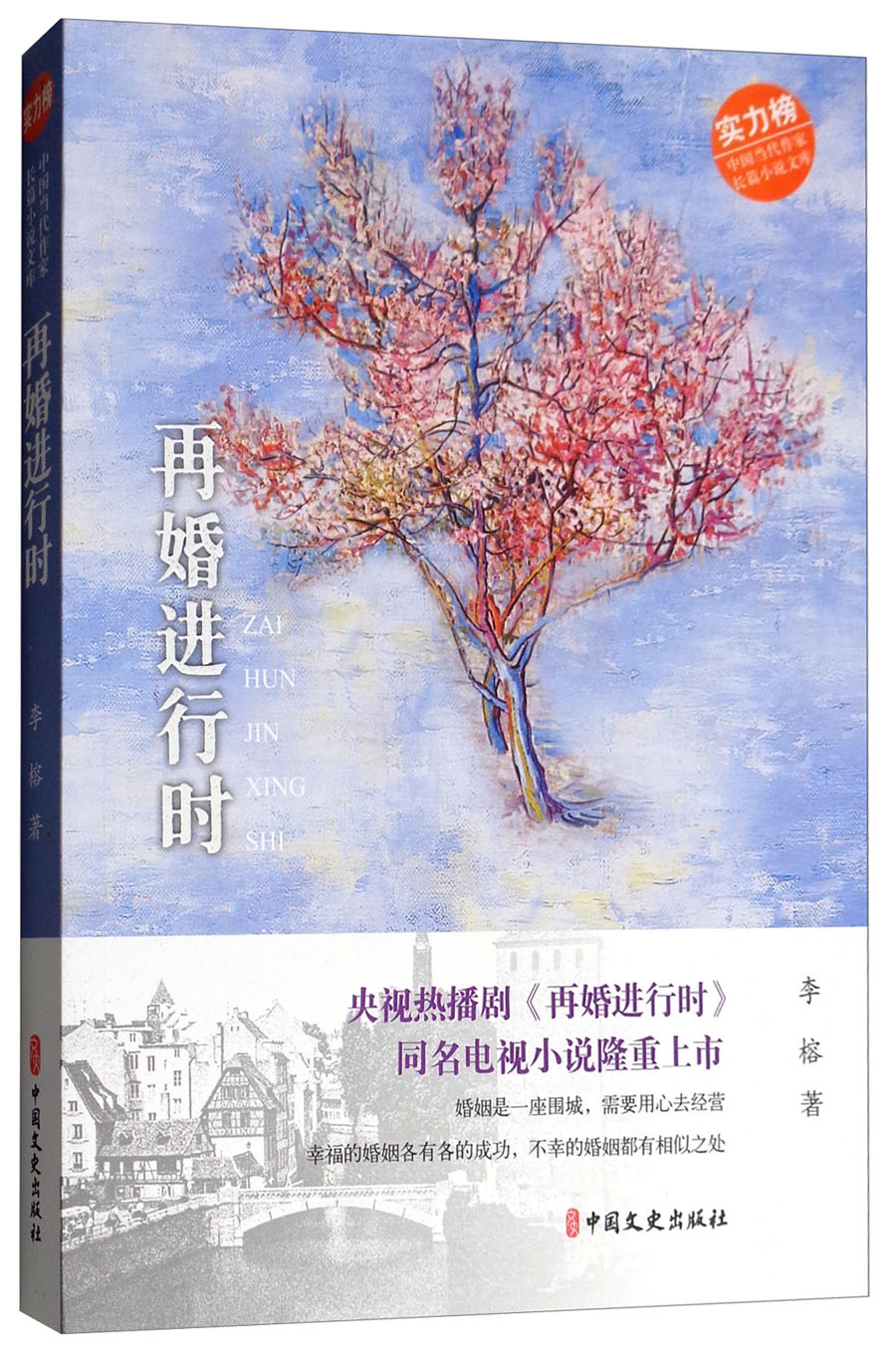 再婚进行时剧情(再婚进行时剧情介绍电视猫)