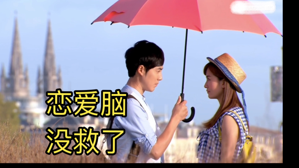 花非花雾非雾dvd(花非花雾非雾dvd版多少集)