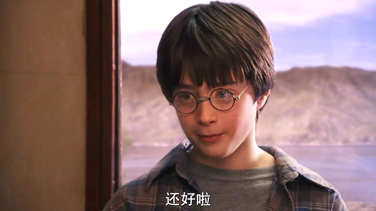 哈利波特1qvod(哈利波特与魔法石)