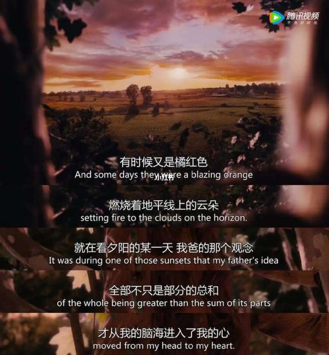 心动在线电影网(心动在线电影网观看)