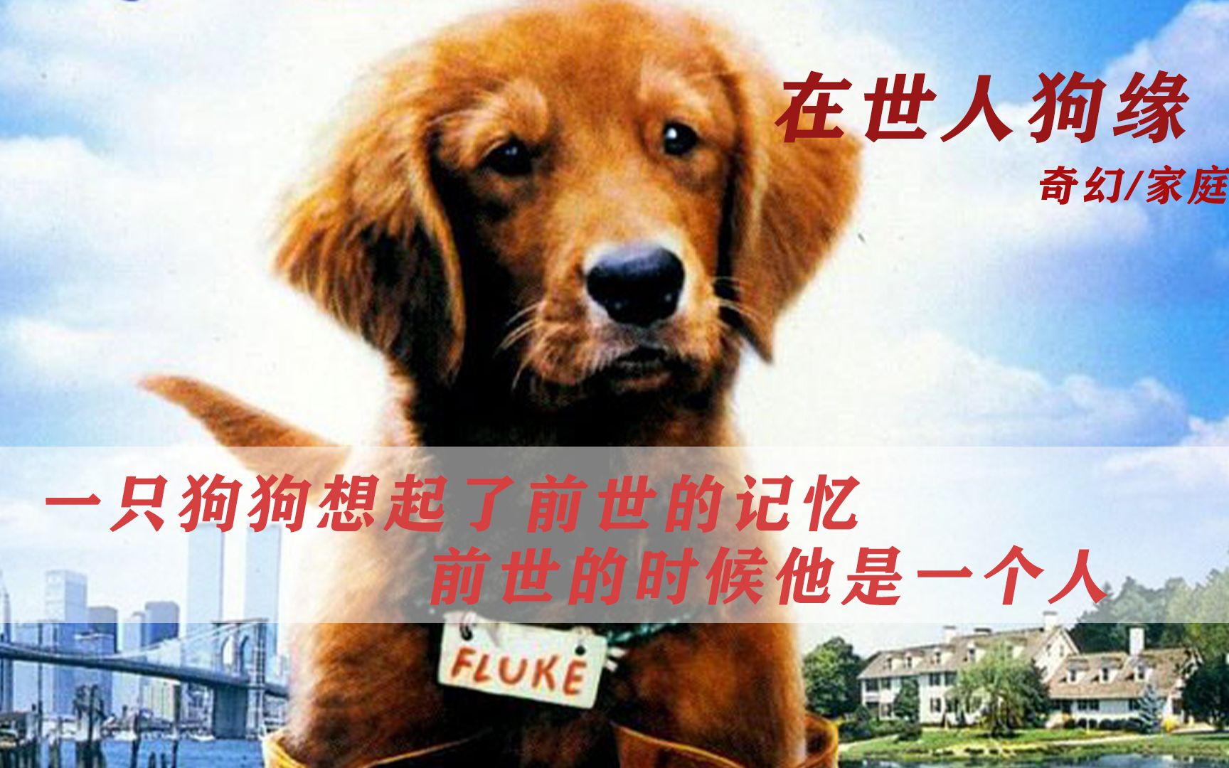 再世人狗缘(再世人狗缘高清在线)
