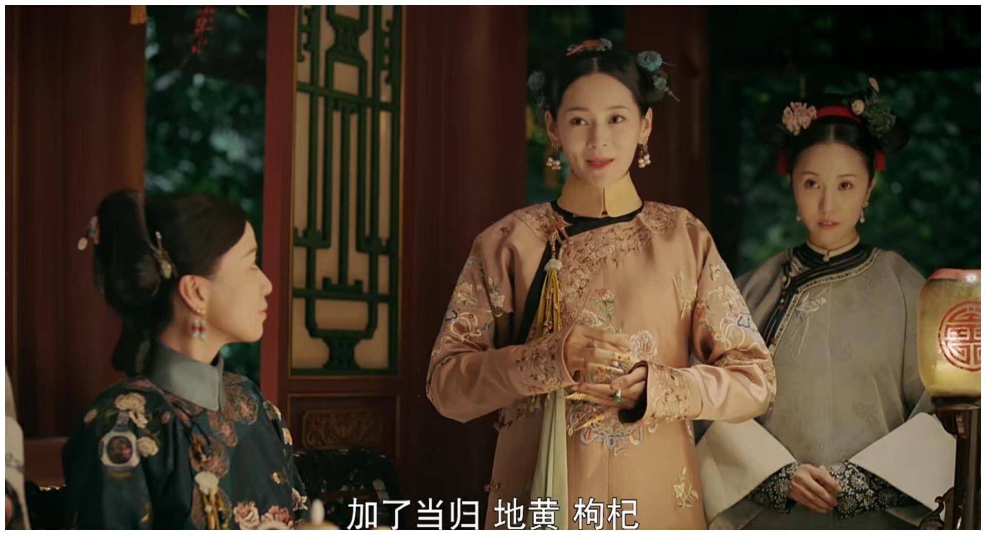 延禧攻略免费观看网站(延禧攻略免费观看大全影视)