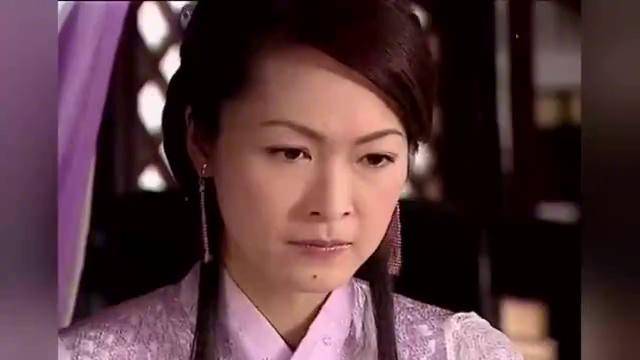 杨门女将电视剧国语(杨门女将电视剧国语版)