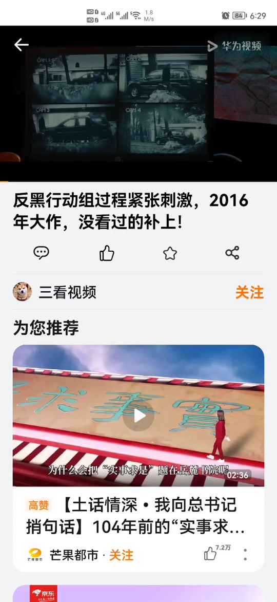 反黑行动组电影(反黑行动组电影免费播放)
