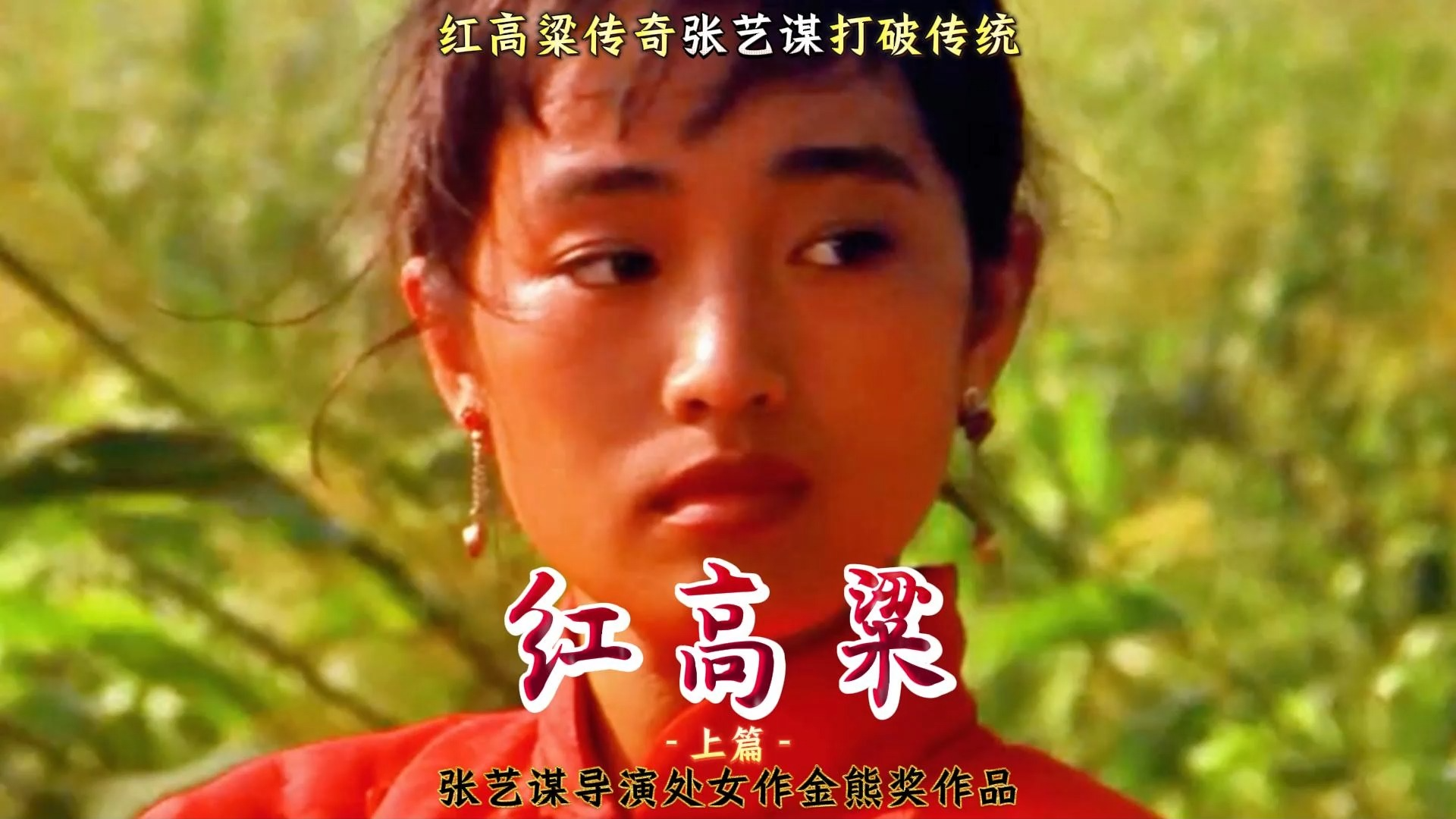 红高粱迅雷下载(红高粱迅雷下载 mkv 下载)