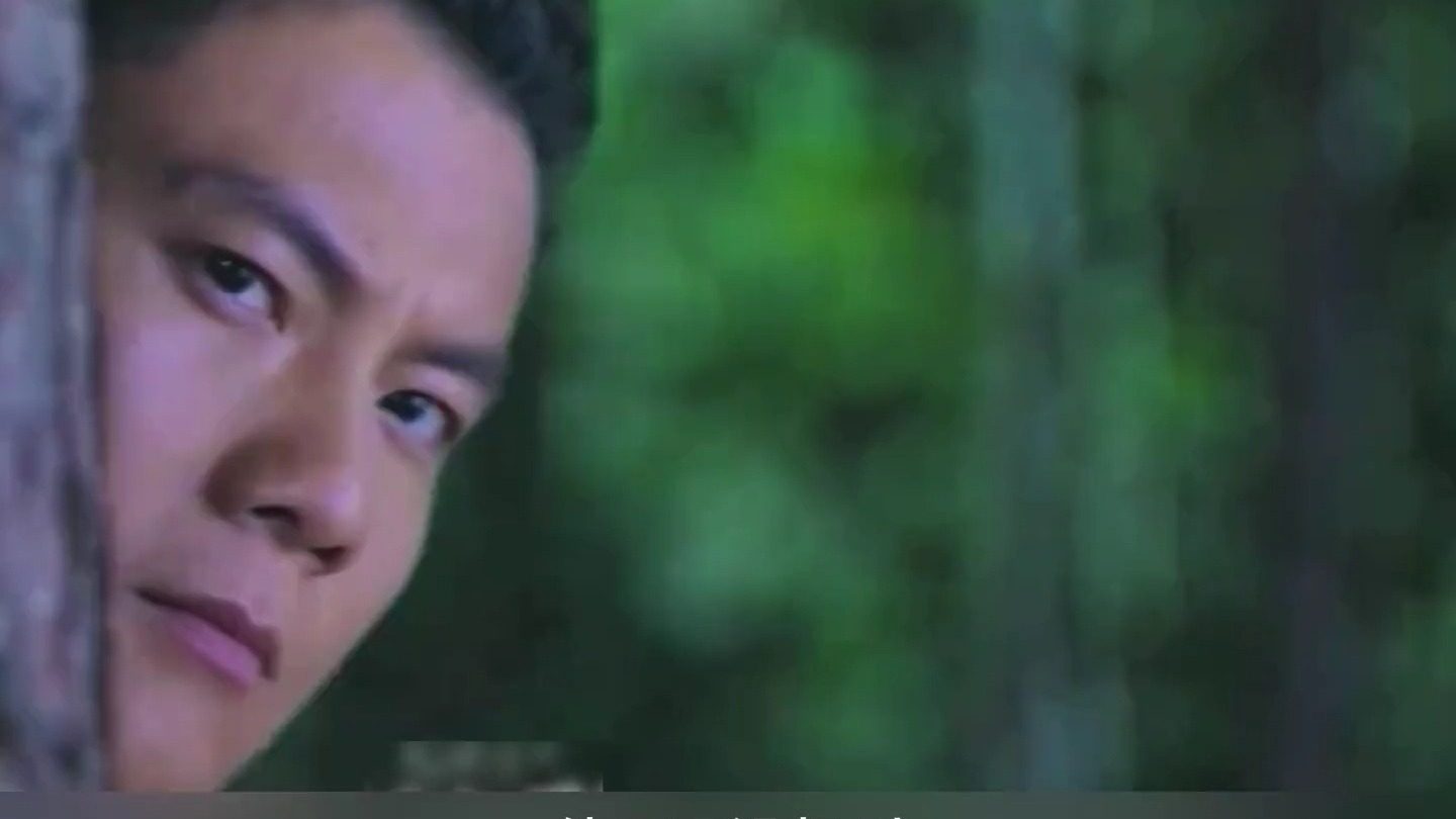 山河同在电视剧(连续剧山河同在28集)