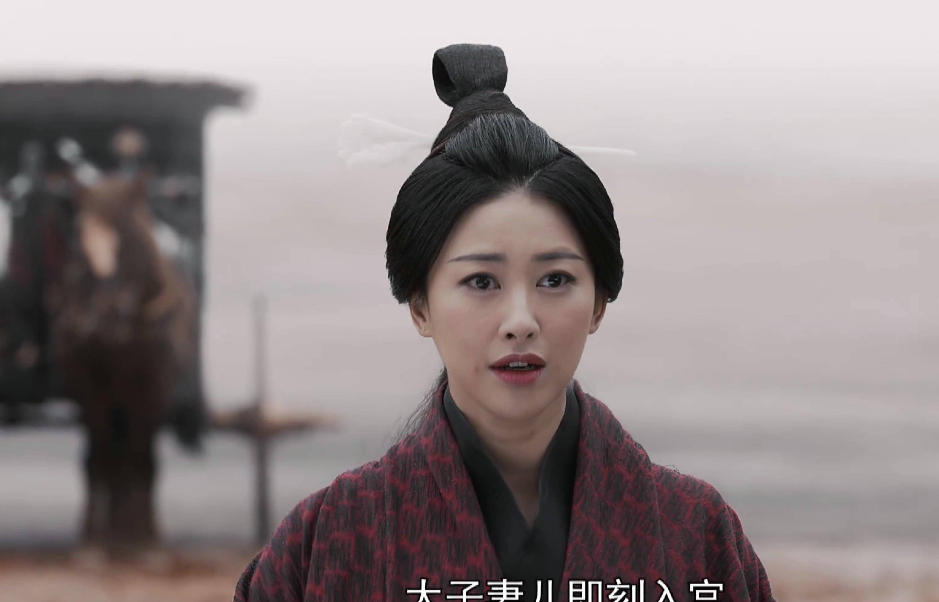 电视剧大秦赋免费播放(电视剧大秦赋全集免费观看完整版)