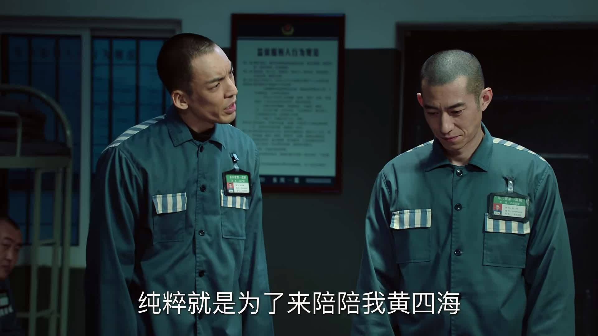 巡回检查组全集(巡回检查组全集电视剧免费观看)