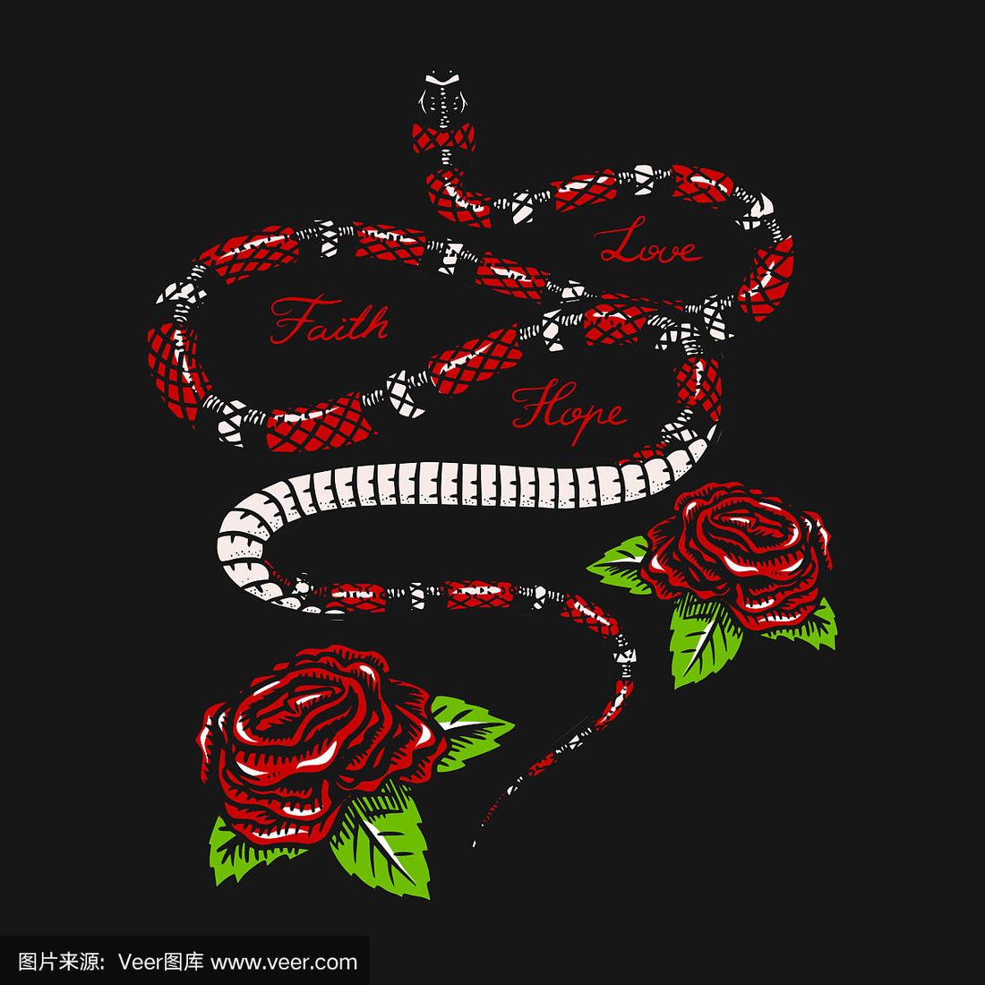 花之蛇2(花之蛇2_第1集)
