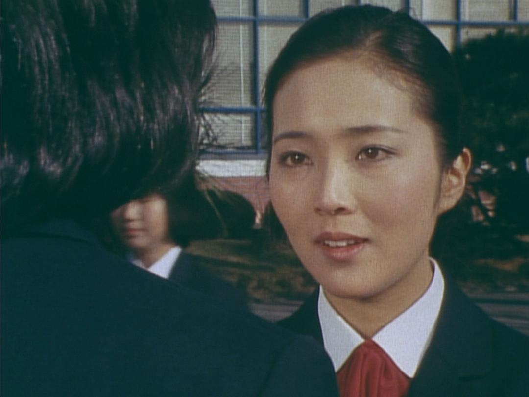 排球女将全集(排球女将全集介绍)