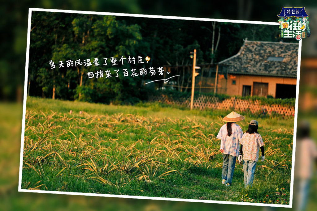 向往的生活第五季(向往的生活第五季免费观看)