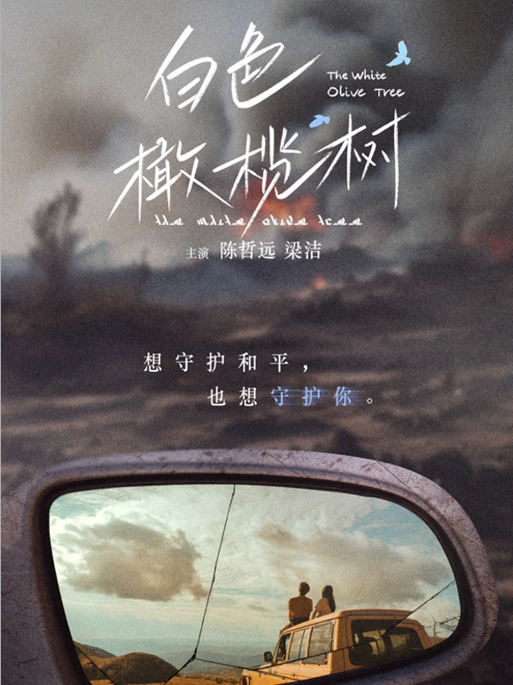 橄榄树全集在线观看(电视剧白色橄榄树全集在线观看)