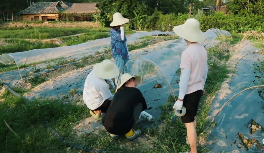 向往的生活5完整版免费西瓜的简单介绍