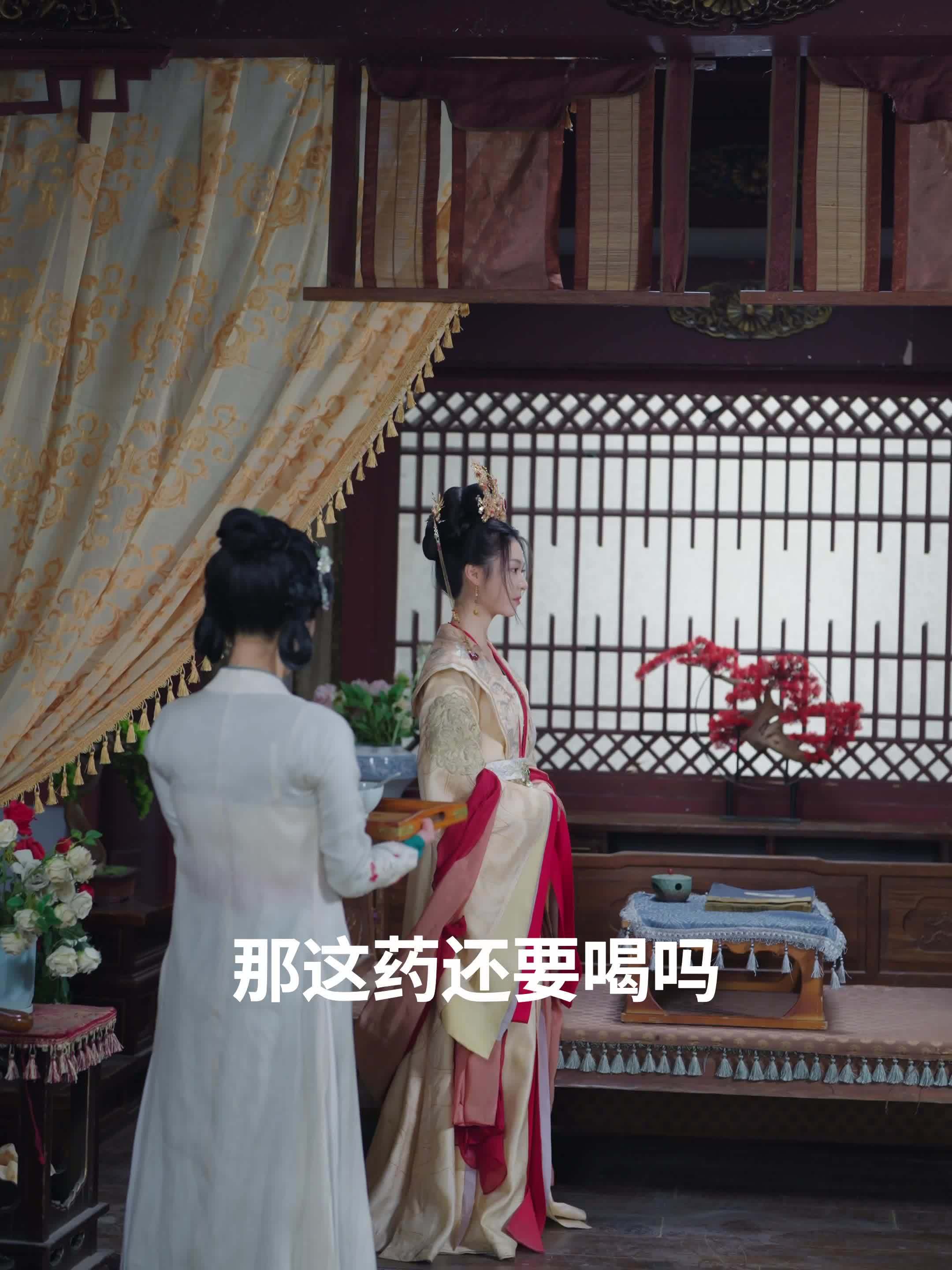 我为宫狂电视剧(我为宫狂电视剧全40集)